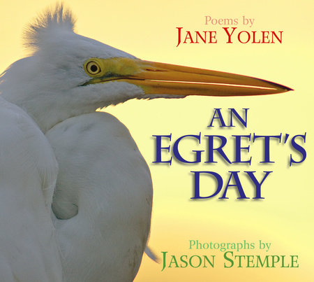 An Egret’s Day By Jane Yolen; Photographs by Jason Stemple