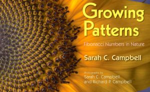 Growing Patterns By Sarah C. Campbell; Photographs by Sarah C. Campbell and Richard P. Campbell