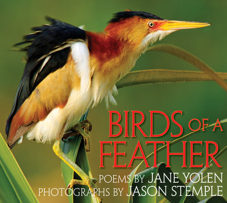 Birds of a Feather By Jane Yolen; Photographs by Jason Stemple