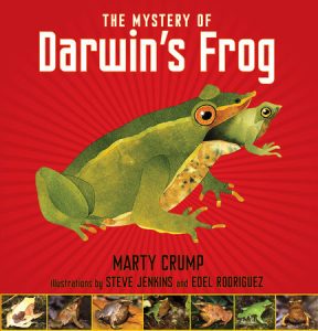 The Mystery of Darwin’s Frog
