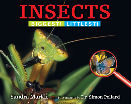 Insects By Sandra Markle; Photographs by Dr. Simon Pollard