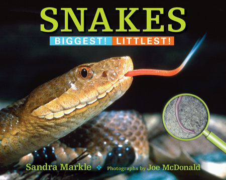 Snakes By Sandra Markle; Photographs by Joe McDonald