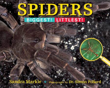 Spiders By Sandra Markle; Photographs by Dr. Simon Pollard