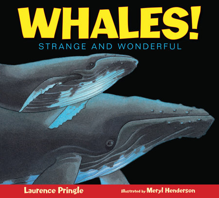 Whales! By Laurence Pringle; Illustrated by Meryl Learnihan Henderson