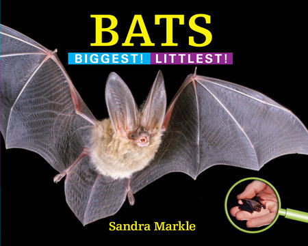 Bats By Sandra Markle