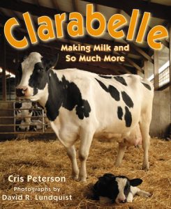 Clarabelle By Cris Peterson; Photographs by David R. Lundquist