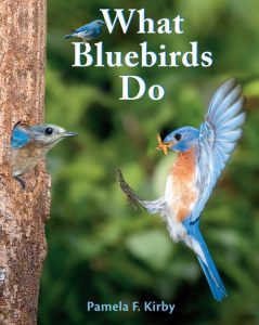 What Bluebirds Do