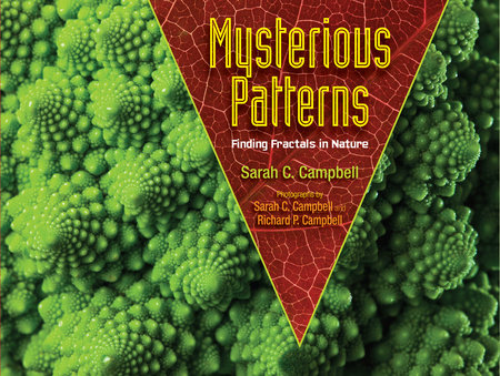 Mysterious Patterns By Sarah C. Campbell; Photographs by Richard P. Campbell