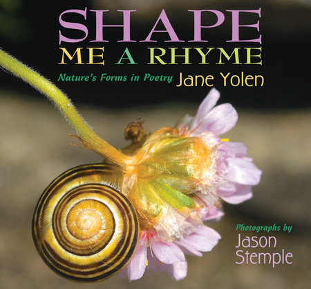 Shape Me a Rhyme By Jane Yolen; Photographs by Jason Stemple