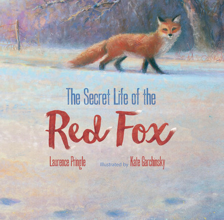 The Secret Life of the Red Fox By Laurence Pringle; Illustrated by Kate Garchinsky