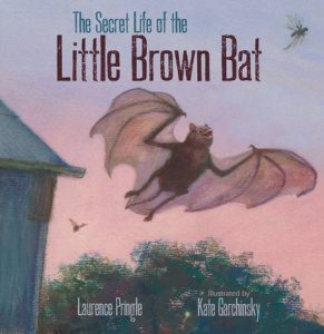 The Secret Life of the Little Brown Bat By Laurence Pringle; Illustrated by Kate Garchinsky