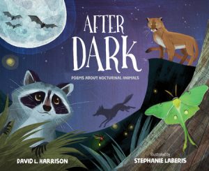After Dark By David L. Harrison; Illustrated by Stephanie Laberis