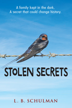 Stolen Secrets By L.B. Schulman