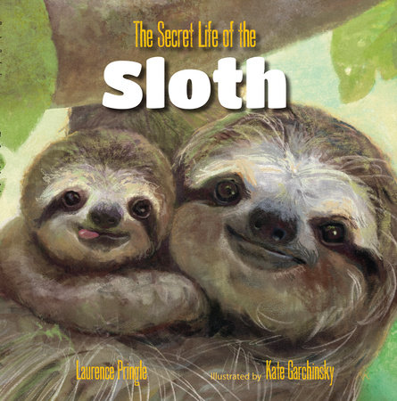 The Secret Life of the Sloth By Laurence Pringle; Illustrated by Kate Garchinsky