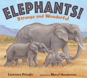 Elephants! By Laurence Pringle; Illustrated by Meryl Henderson
