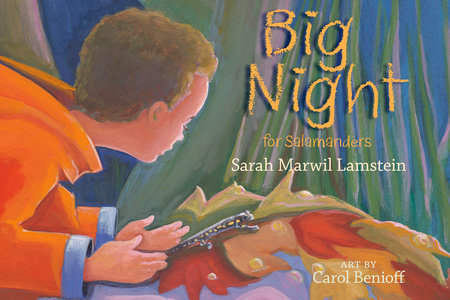 Big Night for Salamanders By Sarah Marwil Lamstein; Illustrated by Carol Benioff