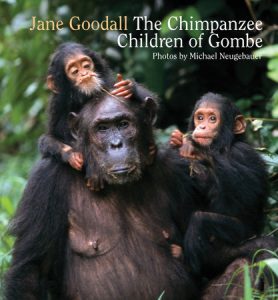 Chimpanzee Children of Gombe By Jane Goodall, photographs by Michael Neugebauer