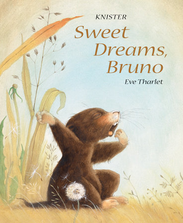 Sweet Dreams, Bruno By Knister, illustrated by Eve Tharlet