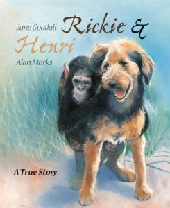 Rickie & Henri By Jane Goodall, illustrated by Alan Marks