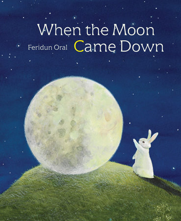When the Moon Came Down By Feridun Oral
