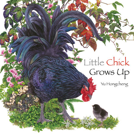 Little Chick Grows Up By Yu Hongcheng