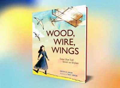 Wood Wire and Wings Discussion Guide