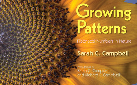 Growing Patterns By Sarah C. Campbell; Photographs by Sarah C. Campbell and Richard P. Campbell