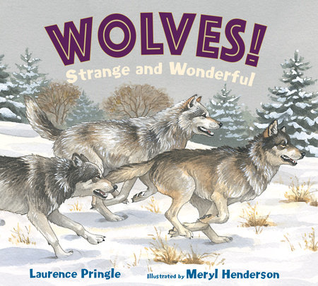 WOLVES! Strange and Wonderful By Laurence Pringle; Illustrated by Meryl Henderson