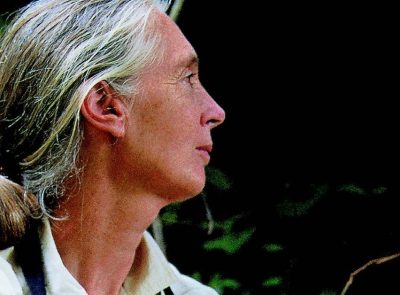 Jane Goodall, Author and Scientist