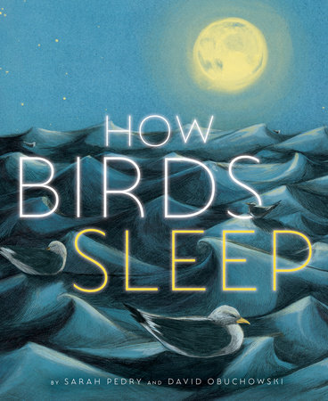 How Birds Sleep By David Obuchowski