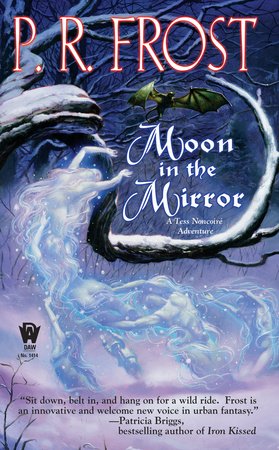 Moon In The Mirror By P. R. Frost