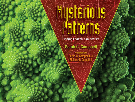 Mysterious Patterns By Sarah C. Campbell