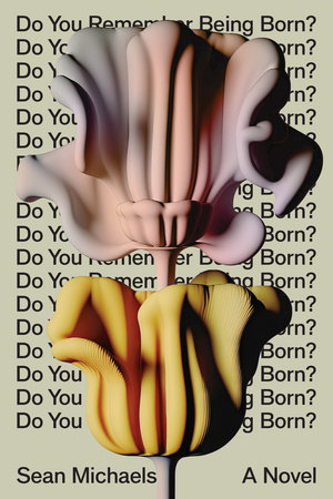 Do You Remember Being Born? By Sean Michaels