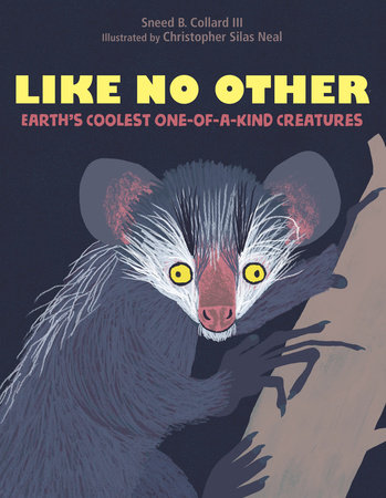 Like No Other By Sneed B. Collard III; Illustrated by Christopher Silas Neal