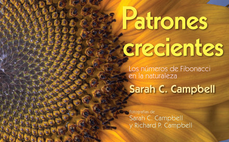 Patrones Crecientes (Growing Patterns) By Sarah C. Campbell