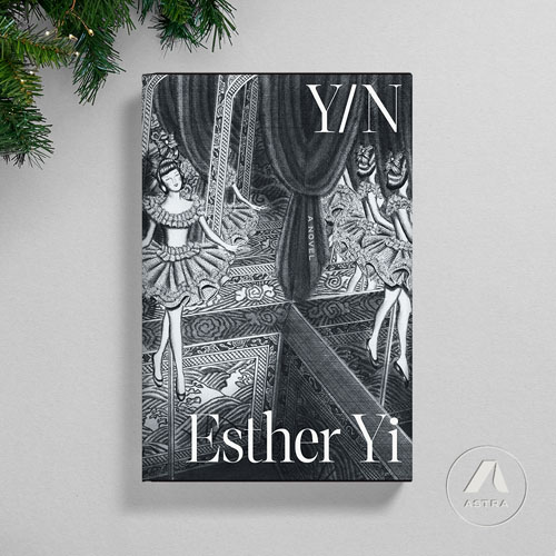 Y/N by Esther Yi, Astra House Holiday Guide