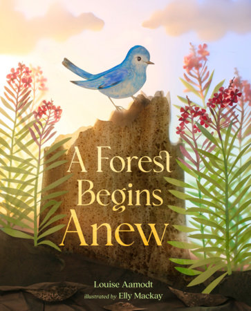 A Forest Begins Anew By Louise Aamodt; Illustrated by Elly MacKay