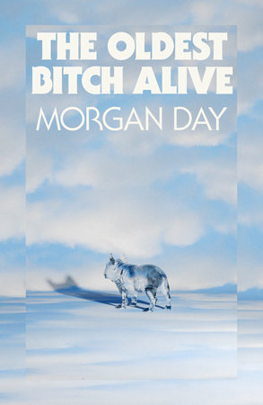 The Oldest Bitch Alive By Morgan Day