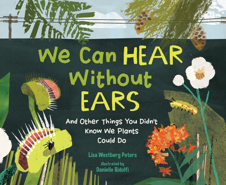 We Can Hear Without Ears By Lisa Westberg Peters; Illustrated by Danielle Ridolfi